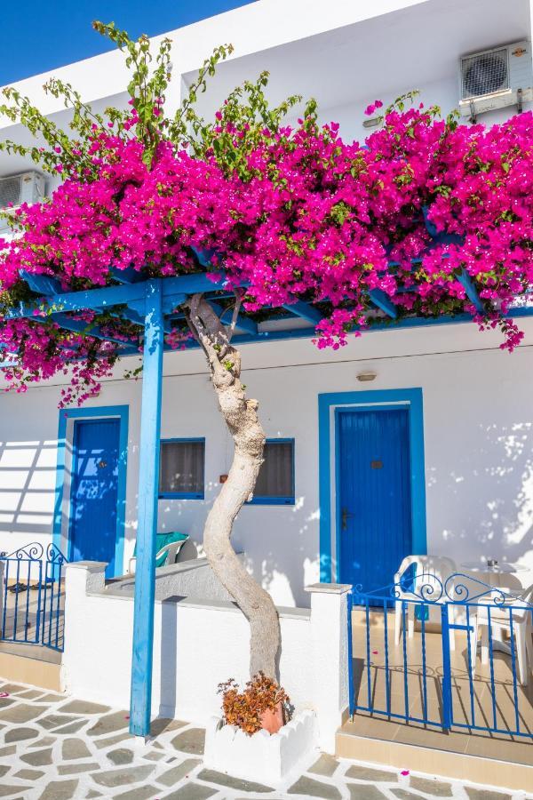 Castelia Bay Hotel Амоопи Екстериор снимка